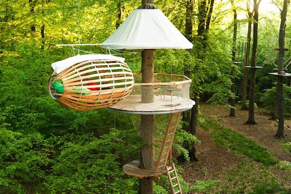 Những[-]"thiên[-]đường"[-]treo[-]trên[-]cây[-]tuyệt[-]đẹp[-]7